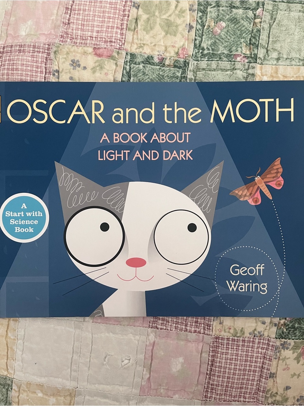Oscar and the Moth A Book About Light and Dark Like New